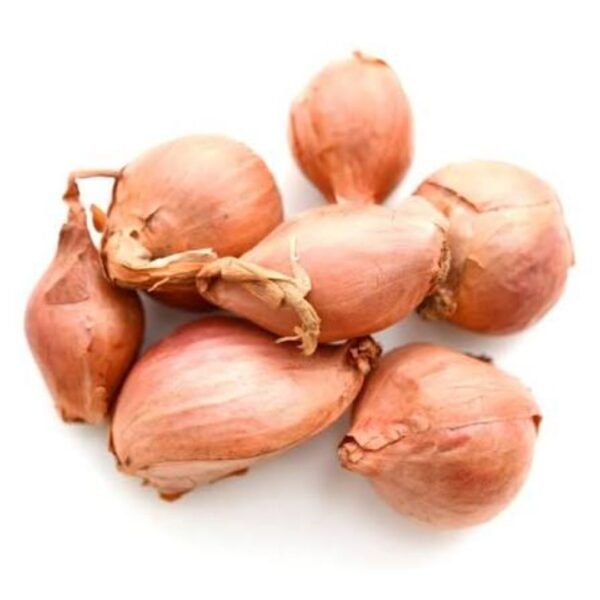 Bretagne Shallot