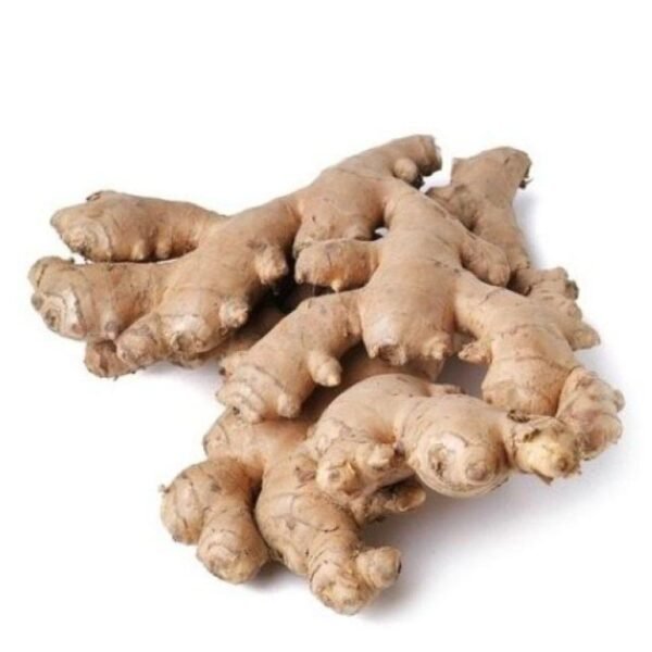 Ginger
