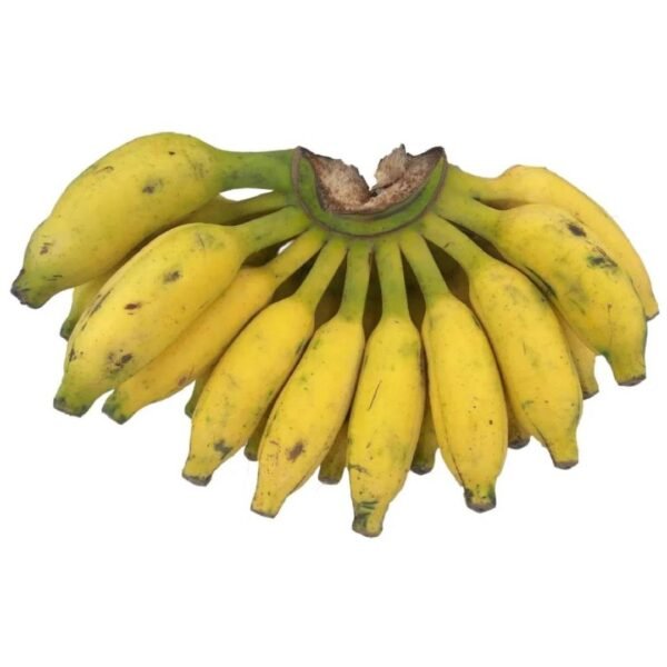 Baby Bananas