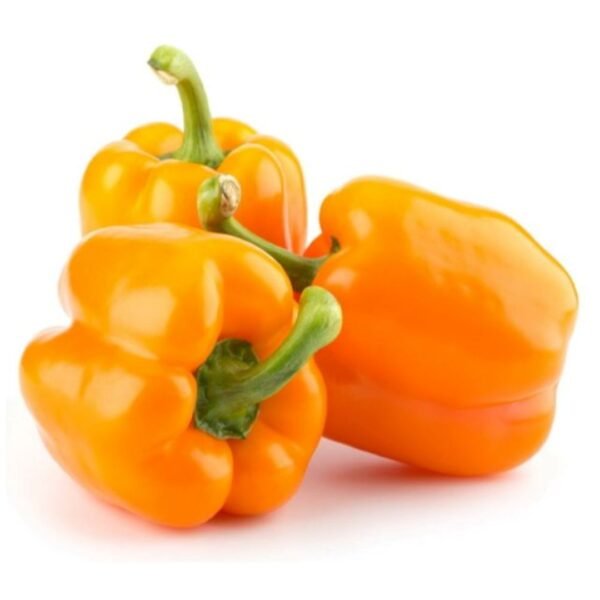 Capsicums Orange