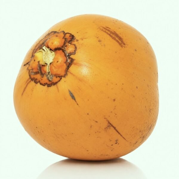 King Coconut