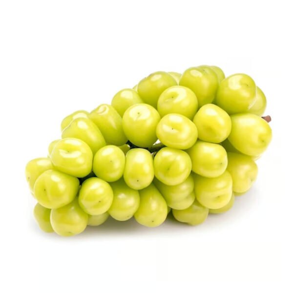 Muscat Shine
