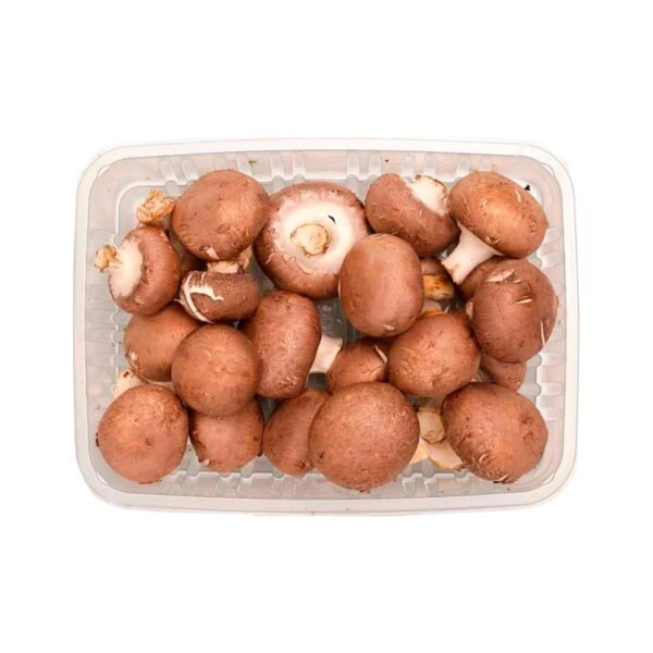 Brown Mushrooms