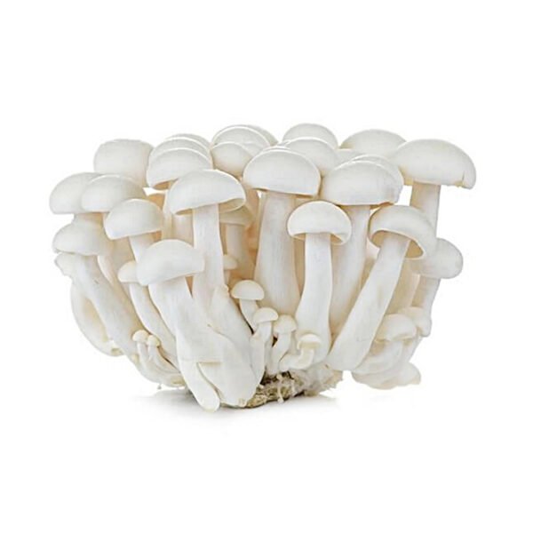 Shimeji Mushrooms