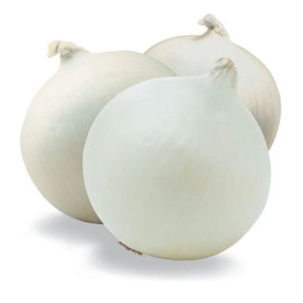 Onion white