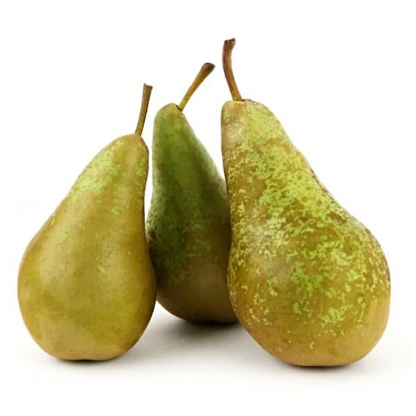 Conference Pears