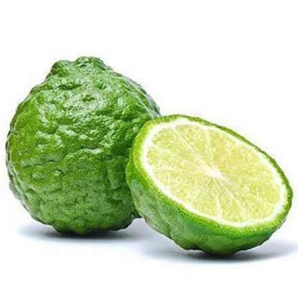 Lime Kaffir