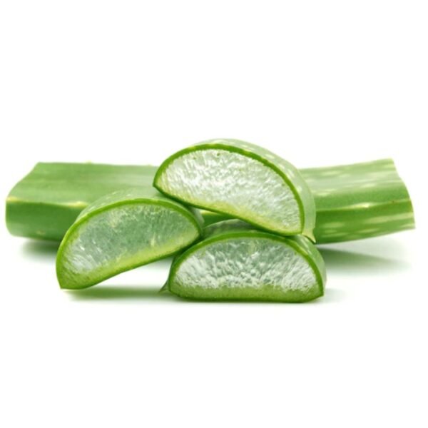 Aloe Vera Leaves