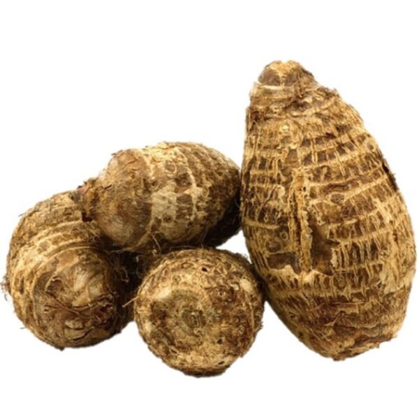 Colocasia Arvi