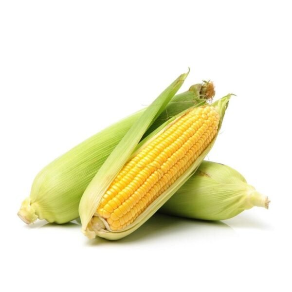 Sweet Corn