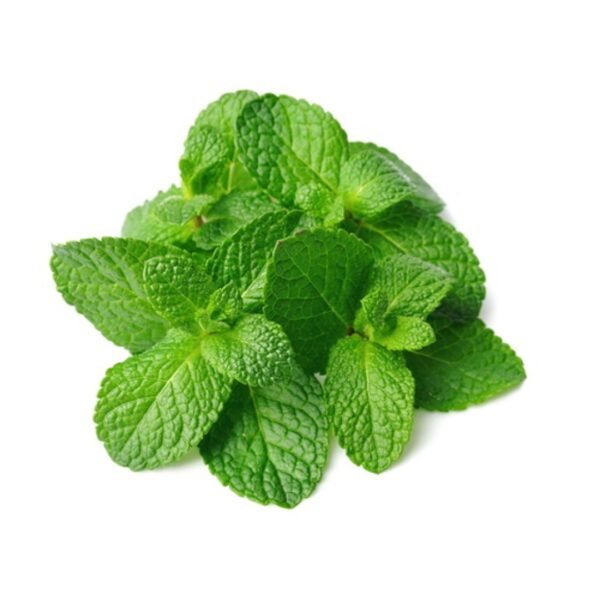Mint Leaves