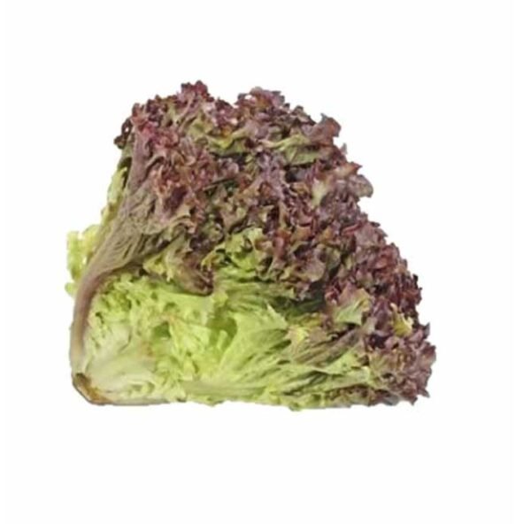 Lettuce Lollo Rosso