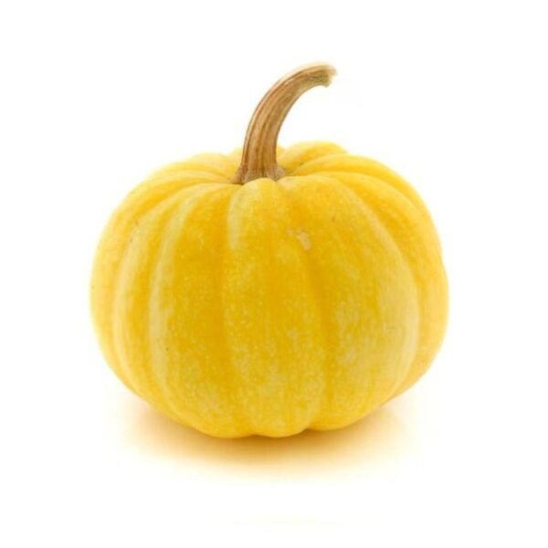 Pumpkin Yellow