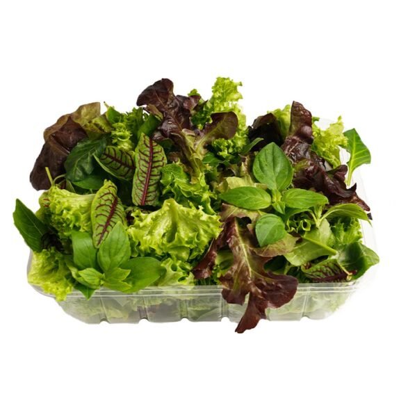 Mix Salad Leaves