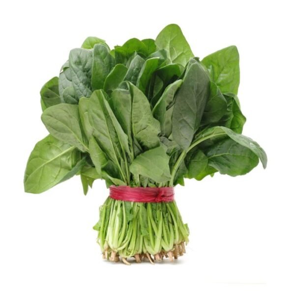 Malabar Spinach